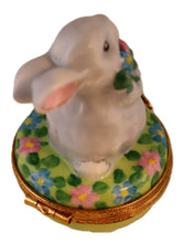 Load image into Gallery viewer, SKU# 16028 - Bunny With Flower Basket