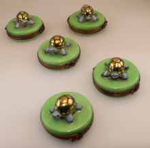 Cargar imagen en el visor de la galería, SKU# 2448 - Tiny Turtle