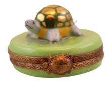Cargar imagen en el visor de la galería, SKU# 2448 - Tiny Turtle