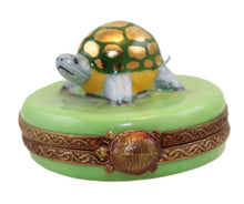 Cargar imagen en el visor de la galería, SKU# 2448 - Tiny Turtle