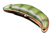 Load image into Gallery viewer, SKU# 3492 - Sweet Pea