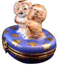 Cargar imagen en el visor de la galería, SKU# 36013 - Dos lechuzas bebés