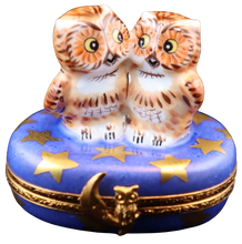 Cargar imagen en el visor de la galería, SKU# 36013 - Dos lechuzas bebés