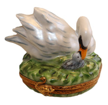 Lade das Bild in den Galerie-Viewer, SKU# 16017 - Mother Swan and her chick