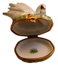 Lade das Bild in den Galerie-Viewer, SKU# 16017 - Mother Swan and her chick
