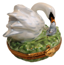 Lade das Bild in den Galerie-Viewer, SKU# 16017 - Mother Swan and her chick