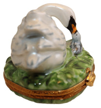 Lade das Bild in den Galerie-Viewer, SKU# 16017 - Mother Swan and her chick