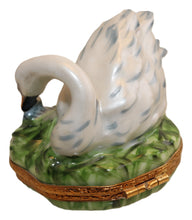 Lade das Bild in den Galerie-Viewer, SKU# 16017 - Mother Swan and her chick