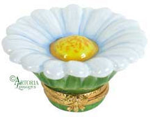 Cargar imagen en el visor de la galería, SKU# 36031 - Margarita blanca - (RETIRADA)