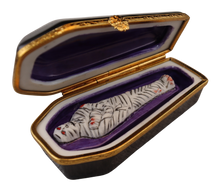 Load image into Gallery viewer, SKU# 3618 - Coffin with Mummy