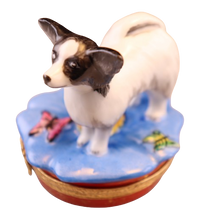 Cargar imagen en el visor de la galería, SKU# 3638 - Perro Papillon: Blanco y negro