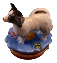 Cargar imagen en el visor de la galería, SKU# 3638 - Perro Papillon: Blanco y negro