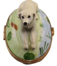 Cargar imagen en el visor de la galería, SKU# 6001 - Labrador Retriever amarillo