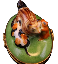 Cargar imagen en el visor de la galería, SKU# 6030 - Gatitos con gata madre