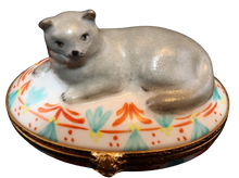 Lade das Bild in den Galerie-Viewer, SKU# 6031 - Britisch Blau Kurzhaar Katze