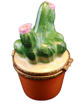 Load image into Gallery viewer, SKU# 6047 - Cactus