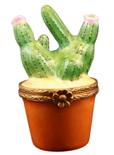 Cargar imagen en el visor de la galería, Código 6047 - Cactus