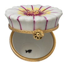 Cargar imagen en el visor de la galería, SKU# 6050 - Margarita blanca