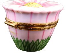 Lade das Bild in den Galerie-Viewer, Artikelnummer 6051 - Gänseblümchen-Rosa