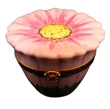 Lade das Bild in den Galerie-Viewer, Artikelnummer 6051 - Gänseblümchen-Rosa