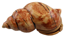 Lade das Bild in den Galerie-Viewer, SKU# 6059 - Bulot - (AUSGESTATTET)