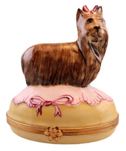 Load image into Gallery viewer, SKU# 6258 - Large Yorkie Box