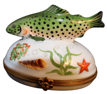 Lade das Bild in den Galerie-Viewer, SKU# 6265 - Große Forelle