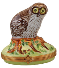 Load image into Gallery viewer, SKU# 6270 - Owl Box