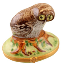 Load image into Gallery viewer, SKU# 6270 - Owl Box