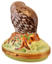 Load image into Gallery viewer, SKU# 6270 - Owl Box