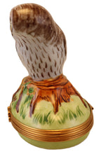 Load image into Gallery viewer, SKU# 6270 - Owl Box