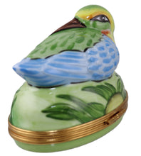 Load image into Gallery viewer, SKU# 6272 - King Fisher