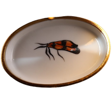 Lade das Bild in den Galerie-Viewer, Artikelnummer 6281 - Quetzal