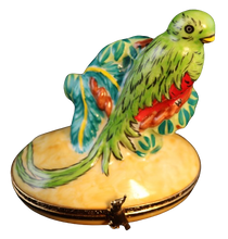 Lade das Bild in den Galerie-Viewer, Artikelnummer 6281 - Quetzal