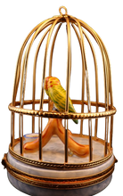 Cargar imagen en el visor de la galería, SKU# 6291 - Periquitos pequeños