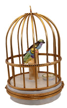Load image into Gallery viewer, SKU# 6294 - Tanagers in Cage
