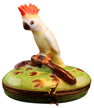 Cargar imagen en el visor de la galería, SKU# 6296 - Cacatúa cresta roja