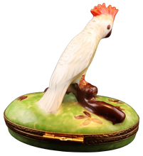 Cargar imagen en el visor de la galería, SKU# 6296 - Cacatúa cresta roja