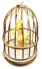 Cargar imagen en el visor de la galería, SKU# 6298 - Canarios amarillos