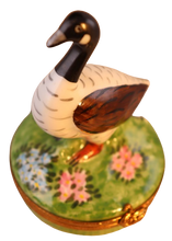 Lade das Bild in den Galerie-Viewer, Artikelnummer 6446 - Kanadische Gans