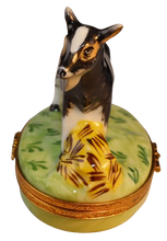 Load image into Gallery viewer, SKU# 6447 - Billy Goat