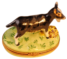 Load image into Gallery viewer, SKU# 6447 - Billy Goat