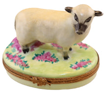 Load image into Gallery viewer, SKU# 6449 - Sheep