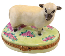 Lade das Bild in den Galerie-Viewer, Artikelnummer 6449 - Schaf