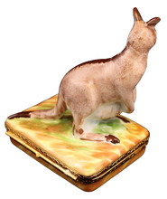 Cargar imagen en el visor de la galería, SKU# 6467 - Canguro