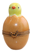 Cargar imagen en el visor de la galería, SKU# R117 – Pollito en huevo.