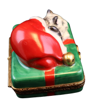 Load image into Gallery viewer, SKU# 7124 - Santa Cat