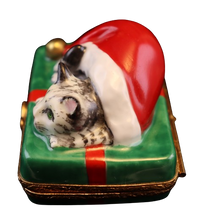 Cargar imagen en el visor de la galería, SKU# 7124 - Gato de Papá Noel
