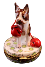 Lade das Bild in den Galerie-Viewer, Artikelnummer 7131 - Boston Terrier Boxer