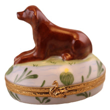 Cargar imagen en el visor de la galería, SKU# 7135 - Labrador chocolate